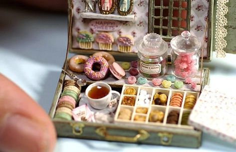 Mini Choses, Altoids Tins, Altered Tins, Tiny Food, Miniature Doll, Clay Miniatures, Miniature Crafts, Mini Things, Clay Charms