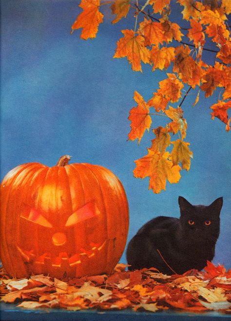 60s Magazine, 1960s Halloween, October Aesthetic, Doodles Halloween, Halloween Posters, Halloween Costumes 2022, Fall Vintage, Halloween This Year, Halloween Vibes