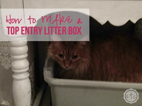 How to MAKE a top entry Litter Box | Happily Ever After Etc Top Entry Litter Box, Litter Box Smell, Best Litter Box, Best Cat Litter, Litter Box Enclosure, Cat Pee, Cat Urine, Cat Ideas, Cat Parenting