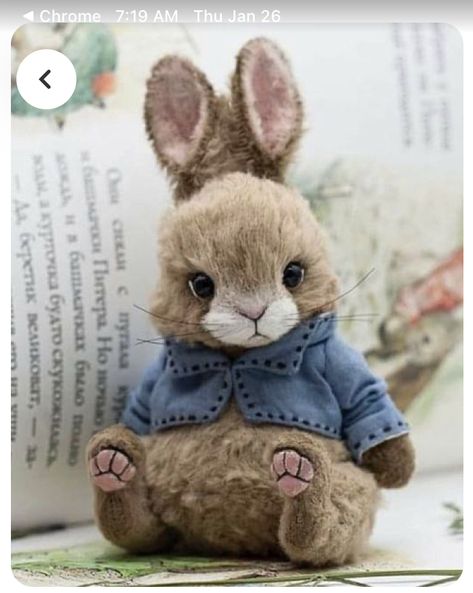 Bunny Teddy Bear, Steampunk Dolls, Easter Dolls, Teddy Bear Clothes, Rabbit Doll, Teddy Bear Doll, Teddy Toys, Bunny And Bear, Rabbit Dolls