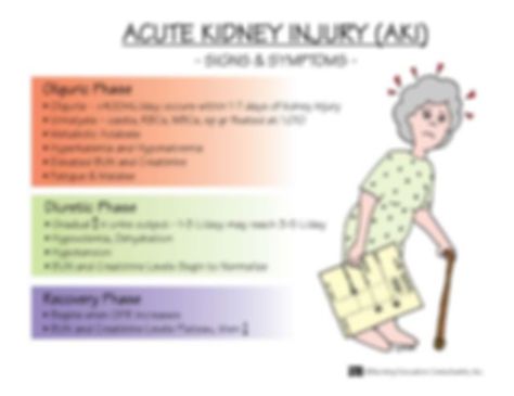 Pathophysiology Nursing, Renal System, Nursing School Studying Cheat Sheets, Nursing 101, Acute Kidney Injury, Nursing Board, Nursing School Essential, Nursing School Motivation, School Prep