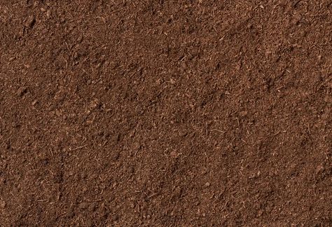 Can Peat Moss Be Used as Mulch? - Peak Yard Peat Moss In The Garden, Peat Moss, Mulch, Food Packaging, Take A, Look At, Yard, Packaging, Texture