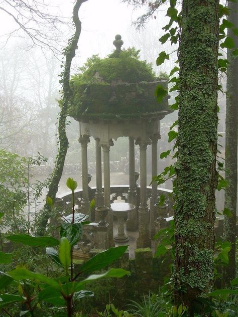 Gazebo com musgo. Garden Gazebo, Land Art, Magical Places, Nature Aesthetic, Pretty Places, Green Aesthetic, Fantasy Landscape, Dream Garden, Abandoned Places