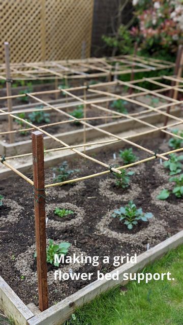 Fruit Cage, Flower Bed Plants, Diy Garden Bed, Bed Support, Flowers Growing, Bamboo Canes, Bamboo Garden, Cut Flower Garden, The Heights