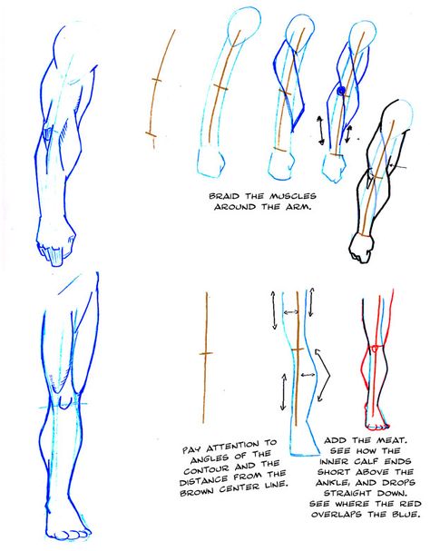 tools: mechanical pencil and photoshop CS >>> my Tumblr <<< >>> my Twitter <<< How To Draw Legs, Tools Mechanical, How To Draw Arms, Female Arms, Draw Arms, Arm Anatomy, Male References, Hands Tutorial, Human Legs