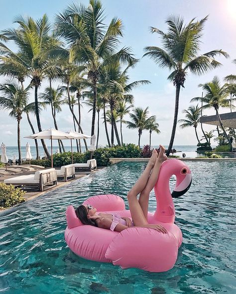 UPDATE: WEEKLY REVIEW #3 Swimming Pool Photography, Mode Converse, Summer Vibes Adventure, Summer Vibes Friends, Flamingo Pool Float, Summer Swimming Pool, Flamingo Float, Pool Poses, Flamingo Pool