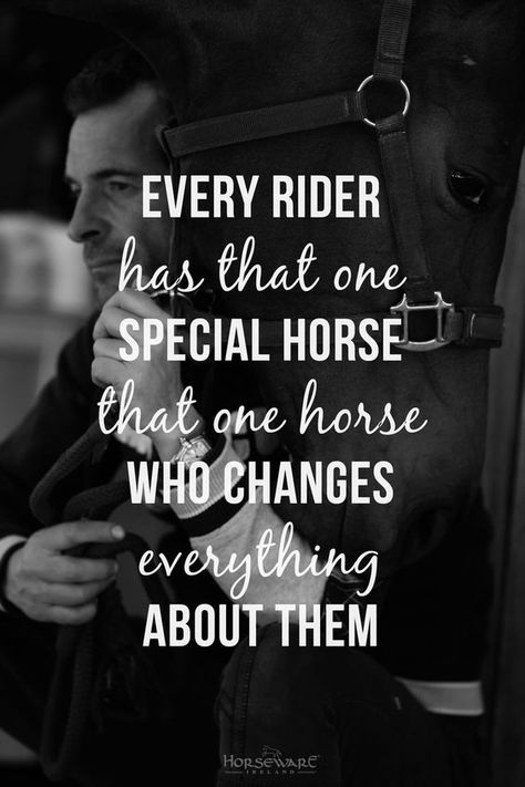 Every rider has that one special horse that one horse who changes everything about them. Equine Quotes, Inspirational Horse Quotes, Horse Riding Quotes, Equestrian Quotes, Cowgirl Quotes, Riding Quotes, Country Girl Quotes, Country Quotes, Horse Quotes