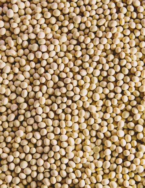 The Divergence Between Soybean Meal and Soybean Oil Soybean Oil, Small Farm, Sweet Corn, How To Cook, The Sweet, Dog Food Recipes, Food Animals, Corn, Magazine