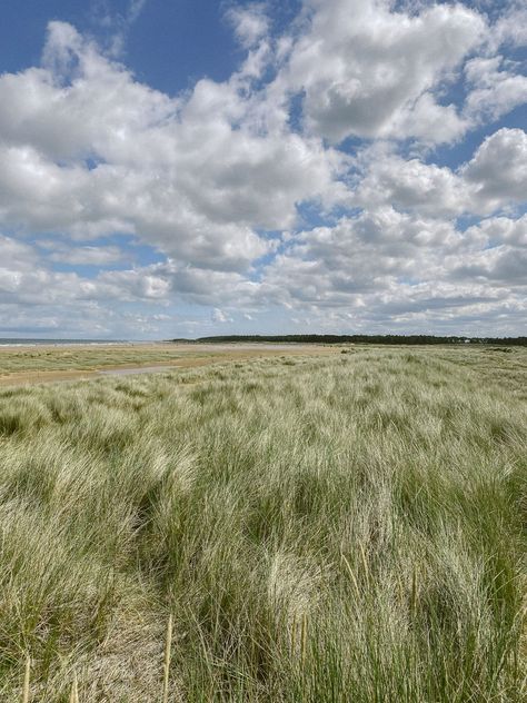 Beach Day, Norfolk - The Londoner Norfolk Beach, Little Farmhouse, French Countryside, The Meadows, Weather Forecast, Pretty Places, Norfolk, Beach Day, Great Britain