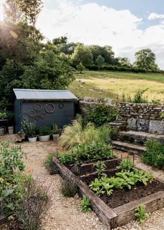 Veggie Patch, Potager Garden, Garden Inspo, Veg Garden, Cold Frame, Farm Garden, Vegetable Gardens, Flowers Wallpaper, New Garden