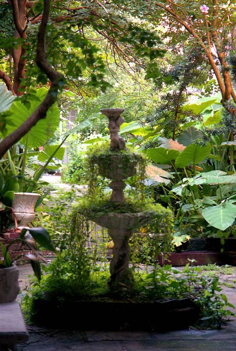 Overgrown Courtyard | by Jonathan Sharpe, Photographer Overgrown Fountain, Overgrown Statue Aesthetic, Courtyard Aesthetic, Overgrown Library, Overgrown Garden Aesthetic, Overgrown Garden, Walton House, Store Entrance, Invisible Cities