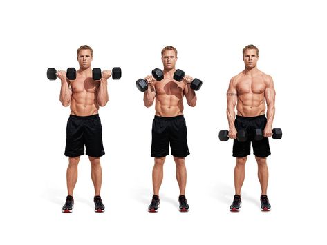 Bicep Curls: 10 different ways to do a bicep curl Best Forearm Exercises, Adapted Pe, Arm Training, Upright Row, Dumbbell Shoulder, Best Shoulder Workout, Shoulder Training, Forearm Workout, Beachbody Workouts