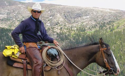 Training A Yearling Horse, Horse Trail Ride, Exercises For Horseback Riders, Centered Riding, Mountain Trail Horse Obstacles, Extreme Trail Horse Obstacles, Natural Horsemanship, Horse Trail, Horse Info