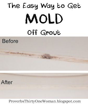 Cleaning Mold, Deep Cleaning Tips, Proverbs 31 Woman, Household Cleaning Tips, Grout Cleaner, Mold Remover, Diy Cleaners, Cleaning Recipes, Clean Dishwasher