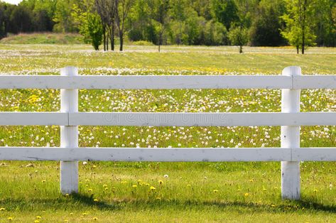 White rail fence. White wooden post and rail fence , #AD, #rail, #White, #fence, #post, #wooden #ad White Post And Rail Fence, White Rail Fence, White Farm Fence, White Wooden Fence, Low Fence, Post And Rail Fence, Ranch Fencing, Greenhouse Farming, Split Rail Fence