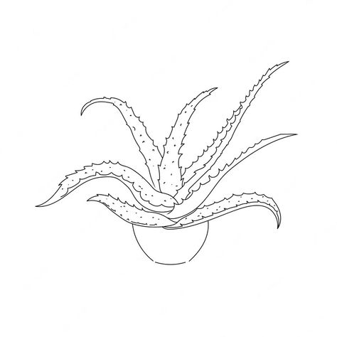 Aloe Vera Drawing Simple, Aloe Drawing, Aloe Vera Tattoo, Aloa Vera, Plant Doodle, Cactus Vector, Composition Drawing, Sweater Embroidery, Cactus Drawing