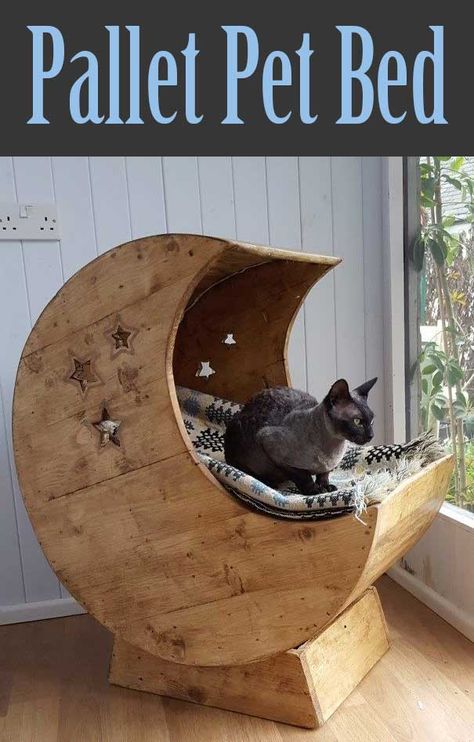 So much better than a stuffed pillow on the floor! Moon Crib, Diy Cat Bed, Pallet Dog Beds, Chat Diy, Kat Diy, Diy Cat Tree, 1001 Pallets, Cats Diy Projects, Recycled Pallets