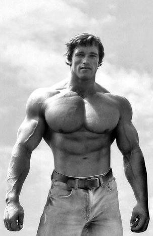 Mr Universe, Arnold Schwarzenegger Bodybuilding, Schwarzenegger Bodybuilding, Bodybuilding Pictures, Bodybuilding Workout Plan, Hero Poster, Body Building Men, Mr Olympia, Fitness Inspiration Body