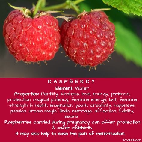 Raspberry Magical Correspondences Properties Raspberry Magical Properties, Raspberry Spiritual Meaning, Raspberry Witchcraft, Raspberry Leaf Magical Properties, Raspberry Leaf Witchcraft, Fruit Magical Properties, Food Correspondences, Herb Magick, Magical Correspondences