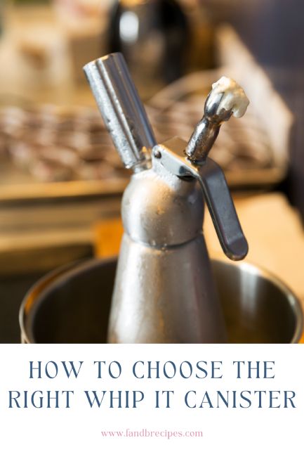 Are you running a business in the food industry? If so, you know the importance of having the right tools for the job. One such tool is the whip it canister, a device used to create perfectly fluffy whipped cream and other culinary treats. 

With the sheer number of options available, knowing which one is right for you can be tricky. In this article, we’ll discuss how to choose the right tank for your business and the current top suppliers. Whip It, Running A Business, How To Cook Rice, Whipping Cream, Cooking Art, Food Trends, Learn To Cook, Food Industry, Food Guide