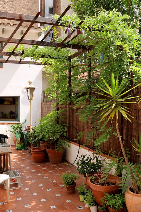 Indian Patio Ideas, Townhouse Terrace Ideas, Terrace Garden Small, Teracce Roof Ideas, Terrace Garden Landscaping, Diy Terrace Ideas, Terrace House Decor, Open Terrace Ideas India, Small Terrace Ideas Outdoors