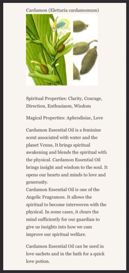 Cardamom Cardamom Uses Witchcraft, Cardamon In Witchcraft, Magical Properties Of Cardamom, Cardamom Witchcraft, Cardamom Magical Properties, Plants Symbolism, Spices Artwork, Herbal Properties, Magickal Herbs