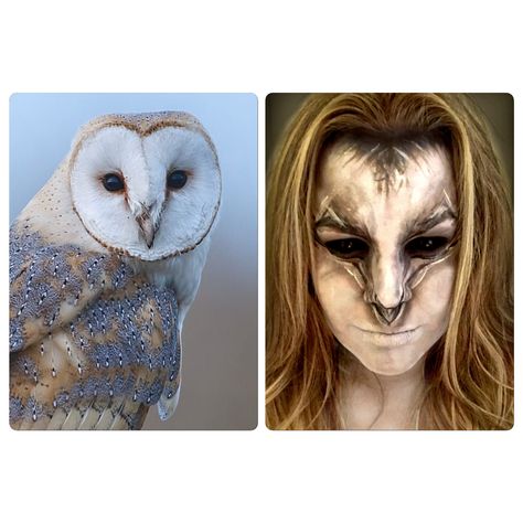 Barn Owl Halloween Makeup Costume Barn Owl Costume, Owl Makeup Halloween, Halloween Makeup Costume, Owl Makeup, Owl Halloween, Animal Makeup, Funky Makeup, Owl Mask, Owl Costume