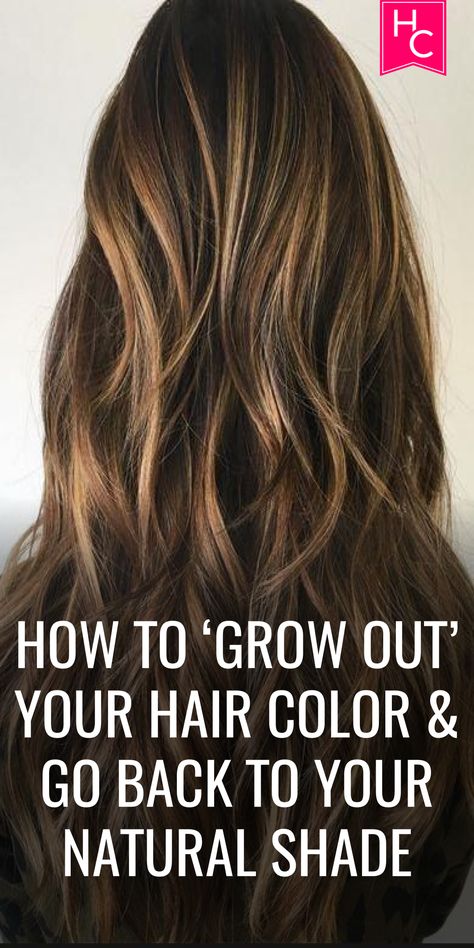 How to 'Grow Out' Your Hair Color & Go Back to Your Natural Shade | Grow Out | Hair | Color | Natural Grow Out Balayage Natural, Highlight Grow Out Roots, How To Grow Out Balayage, Growing Out Hair Color Natural, How To Grow Out Your Natural Hair Color, Growing Out Roots Brown, From Black To Brown Hair Transition, Transition Back To Brunette, Going Back Natural Hair Color