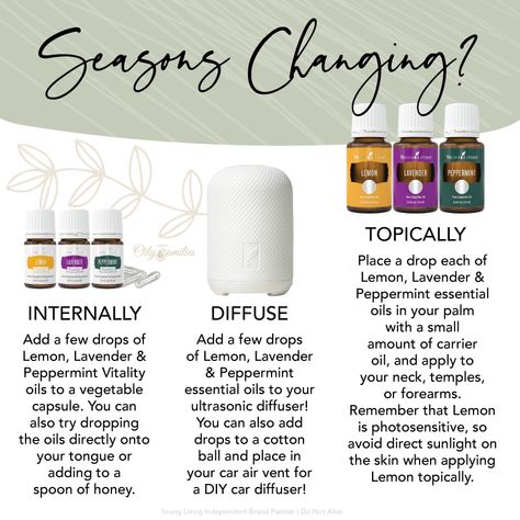 Allergy Essential Oil Blend, Essential Oils Allergies, Diffuser Blends Young Living, Essential Oils Young Living, Natural Remedies For Allergies, Doterra Essential Oils Recipes, Essential Oil Diffuser Blends Recipes, Essential Oil Bag, Essential Oil Blends Recipes