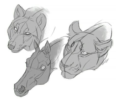 Canine Head Reference, Horse Head Reference, How To Draw Horse, Horse Poses Reference, Horse Anthro, Animal Drawing Reference, Quick Sketch Ideas, Cat Reference Drawing, How To Draw Horses