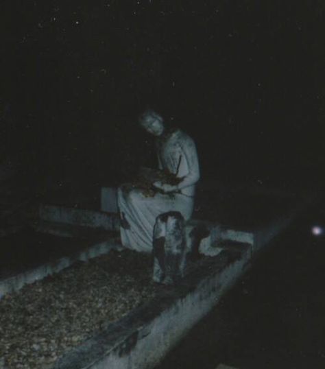 Eerie Photos, Horror Aesthetic, Dark Horror, In The Darkness, The Darkness, Cemetery, In The Dark, At Night, Aesthetic Pictures