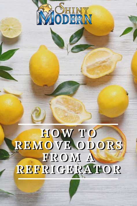 Refrigerator odors can be nasty and embarrassing. Here are some ways you can remove the odors from your refrigerator. Fridge Smell Tips, Clean Refrigerator Hacks, Refrigerator Cleaning Hacks, Smelly Refrigerator, Fridge Odor Eliminator, Odor Eliminator Diy, Cleaning Refrigerator, Natural Odor Absorber, Smelly Fridge