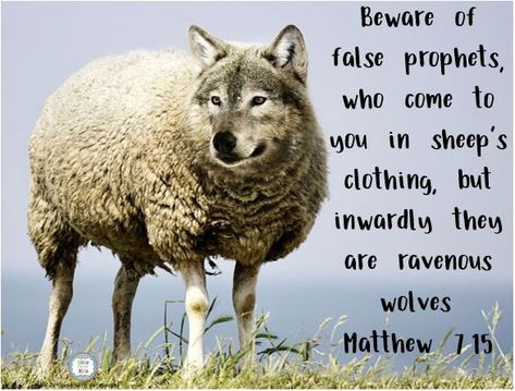 Wolf In Sheeps Clothing Quotes, Wolf In Sheeps Clothing, Clothing Quotes, True Bride, Sheep Clothing, False Prophets, Narcissism, Christian Women, Cryptocurrency