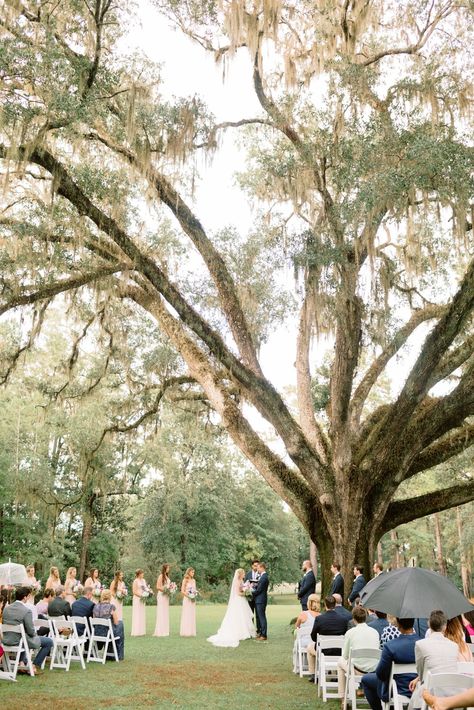 Eden Garden State Park Wedding, Eden Gardens Wedding, Monet Sunset, Eden Gardens State Park, Alabama Wedding Venues, Eden Gardens, State Park Wedding, 30a Wedding, Friday Wedding