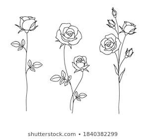 Two Roses Drawing, Rose Line Drawing Tattoo, Roses Line Drawing, Minimalist Rose Drawing, Two Rose Tattoo, Rose With Leaves Tattoo, Line Work Rose Tattoo, Roses Tattoo Drawing, Two Roses Tattoo Design