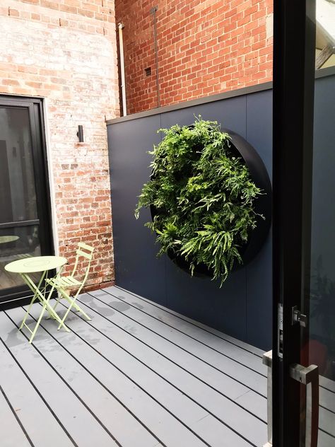 Plant Decor Diy, Gardens Design Ideas, Plant Room Decor, Hanging Plant Ideas, Gardens Decor, Gardens Australia, Garden Wall Designs, Indoor Plant Wall, Wall Plant Hanger