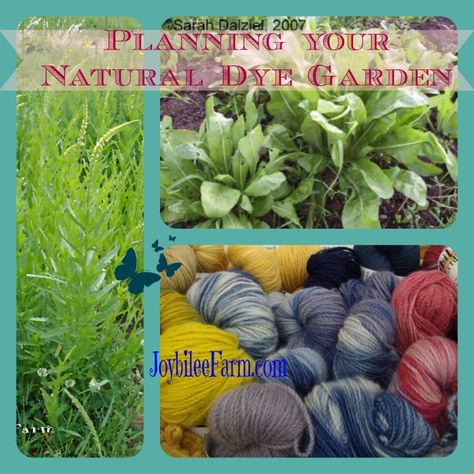 Planting A Rainbow, Dye Garden, Common Garden Plants, Full Garden, Make A Rainbow, Natural Dye Fabric, Eco Dyeing, Natural Palette, Eco Printing