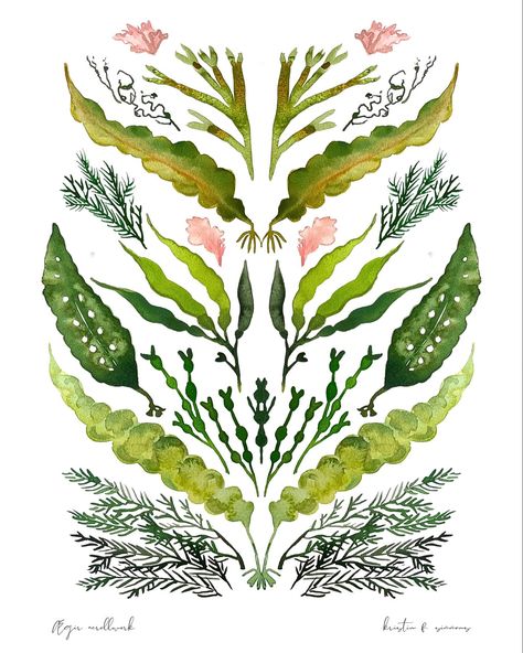 Ægir Scandanavian Folk Art Seaweed Scrollwork | Prints now available online for the holidays. 5x7 -$20 // 8.5x11 - $35 // 12x16 - $75 // Fine Art Coldpress Archival Paper. This was a joy to paint. 💚🌊 Plants Watercolor, Sea Plants, Pride Rock, Sumi Ink, Old Norse, Scroll Work, Scandinavian Folk Art, Watercolor Cards, Brilliant Colors