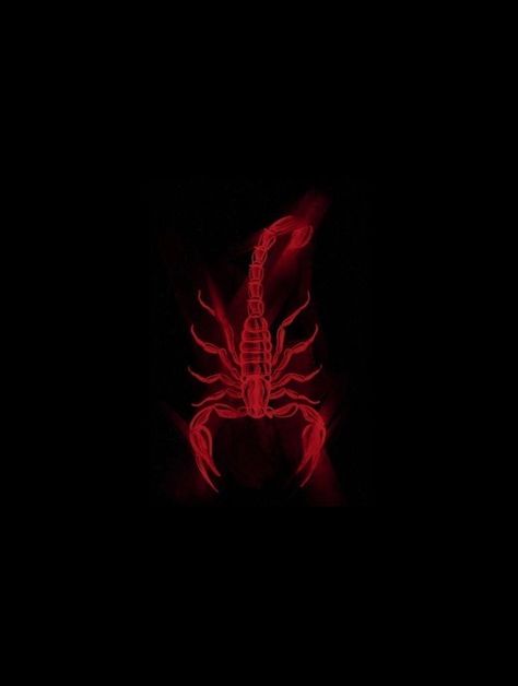 Scorpio Red Aesthetic, Red Scorpio Aesthetic, Scorpion Aesthetic Wallpaper, Red And Black Aesthetic Icon, Scorpion Aesthetic, Scorpion Wallpaper, Scorpio Wallpaper, Scorpio Art, Red And Black Background