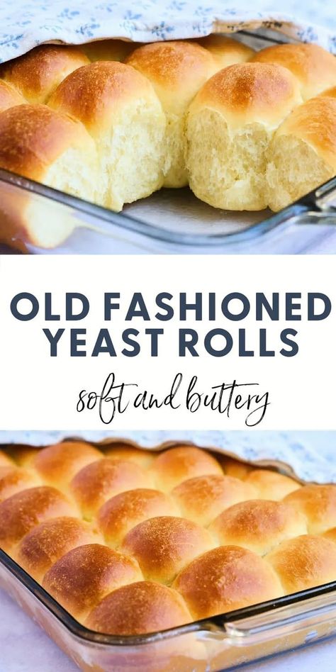 Old Fashioned Yeast Rolls Recipe, Dinner Rolls Recipe Homemade, Dinner Rolls Easy, Homemade Yeast Rolls, Yeast Rolls Recipe, Homemade Rolls, Homemade Bread Recipes Easy, Homemade Dinner Rolls, Yeast Rolls