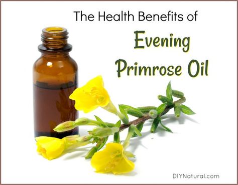 Primrose Oil Benefits, Benefits Of Evening Primrose Oil, Benefits Of Evening Primrose, Evening Primrose Oil Benefits, Vegetarian Lifestyle, Homemade Stuff, Herbal Recipes, Primrose Oil, Evening Primrose Oil