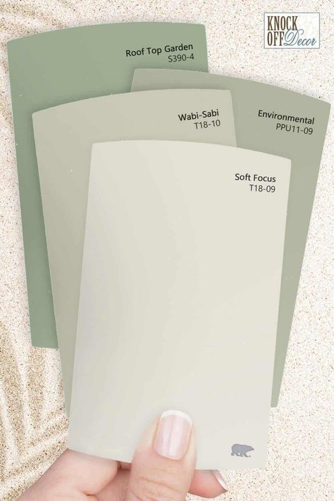 Behr Soft Focus Color Palette, Behr Soft Focus, Soft Focus Behr Paint, Behr Sage Green Paint, Behr 2023, Soft Green Paint Color, Basement Color, Sage Paint Color, Light Green Bathrooms