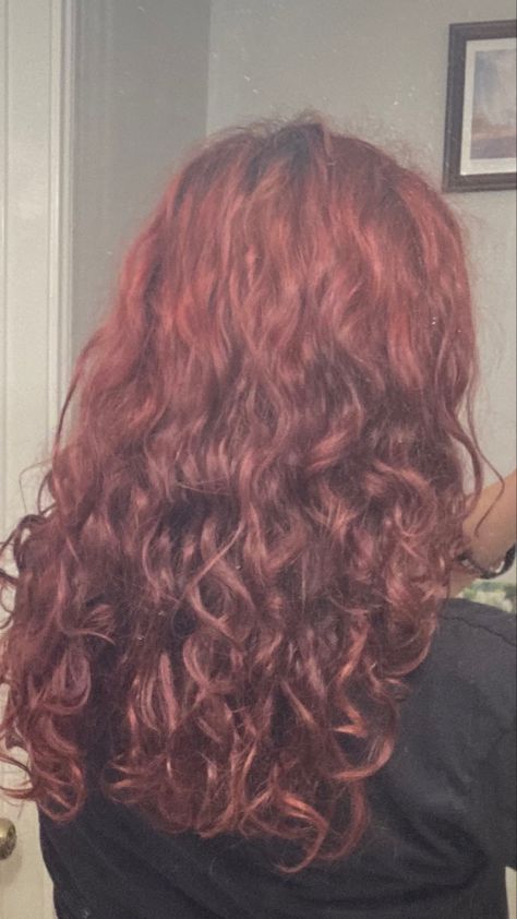 Red wavy hair with butterfly cut Cherry Red Wavy Hair, Curly Cherry Red Hair, Dark Red Wavy Hair, Butterfly Cut Wavy Hair, Red Hair Layers, Red Wavy Hair, Wavy Red Hair, Long Wavy Layers, 2024 Haircut