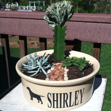 Food dish planting as a memorial for our dog who passed away. I love this idea so so much Pots Design, Dog Sympathy Card, Kitten Mittens, Pet Memorial Garden, Brat Pack, Memorial Art, Pet Cemetery, Dog Remembrance, Flower Pot Design