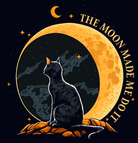 Looking At The Moon, Black Cat Sitting, Moon Made, Stars Moon, A Black Cat, Cat Sitting, Moon Stars, Stars And Moon, A Cat