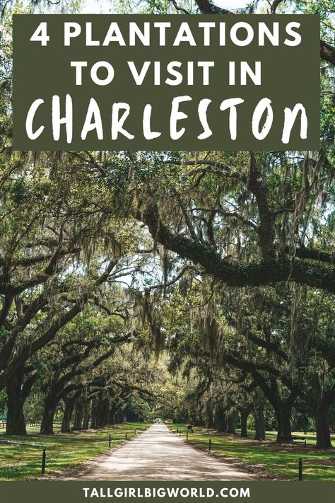 Here are 4 Charleston plantations that deserve a spot on your Charleston bucket list. plantations in Charleston | historic places in Charleston | things to do in Charleston | places to visit in Charleston | what to do in Charleston SC | Charleston travel guide | Charleston travel tips | Charleston historic attractions | Charleston outdoor activities | South Carolina plantations | #Charleston #plantations #SouthCarolina #traveltips Charleston Plantations, Charleston Things To Do, Visit South Carolina, Charleston Travel Guide, Charleston Travel, Train Tour, Garden In The Woods, Ways To Travel, Female Travel