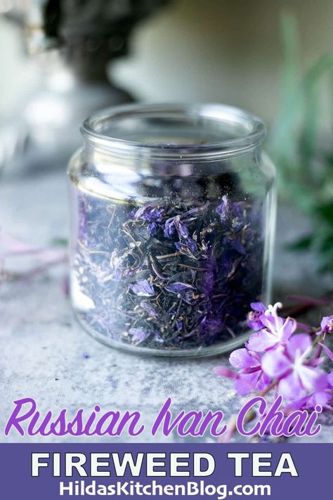 Learn how to pick, ferment, dry and brew fireweed tea! This aromatic tea is popular in Russia and is referred to as Ivan tea or chai. Fireweed Tea, Assyrian Recipes, Medicinal Wild Plants, Insect Eggs, Wild Foraging, Foraging Recipes, Tea Drinks, Russian Tea, Ingredient Substitutions