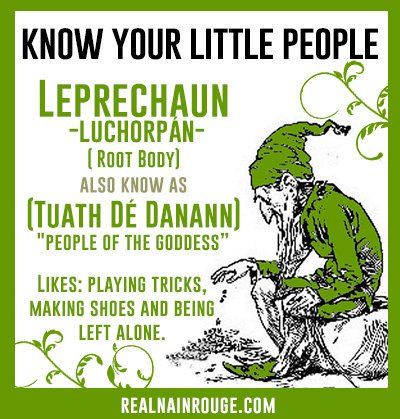 Tuath Dé Danann - Leprechaun Leprechaun Folklore, Leprechaun Shenanigans, Leprechaun Facts, What Does The Leprechaun Leave Behind, Creepy Leprechaun, Irish Myths And Legends, Irish Folklore, Leprechaun Meme Hilarious, Spirit World