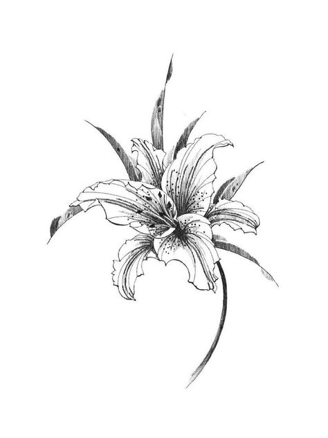 Deathcore Tattoo, Stargazer Lily Tattoo, Lillies Tattoo, Lily Tattoo Design, Lily Flower Tattoos, Hubba Bubba, Lily Tattoo, Stylist Tattoos, Tattoo Style Drawings