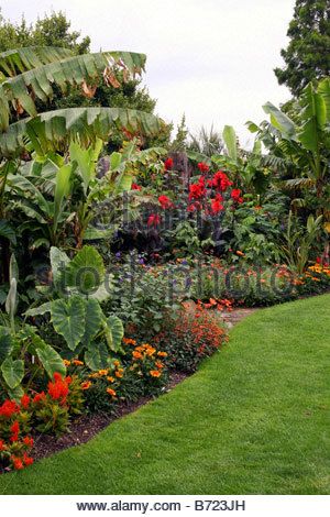 A TROPICAL BORDER WITHIN AN ENGLISH COUNTRY GARDEN. RHS HYDE HALL ESSEX UK - Stock Photo Tropical English Garden, Tropical Garden Uk, Banana Garden, Trading Setup, Tropical Gardening, Tropical Garden Plants, Inspiring Gardens, Courtyard Plants, Foliage Garden